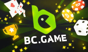 BC.GAME Gambling Enterprise Evaluation